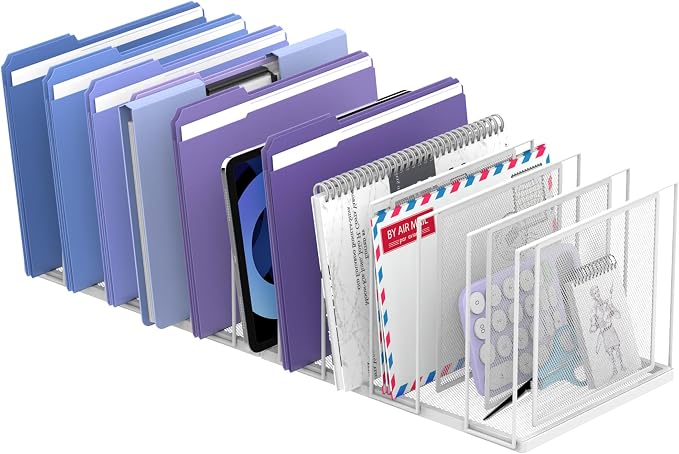 File Organizer for Desk, 11-Section Vertical File Sorter, Paper Holder by JMHUD