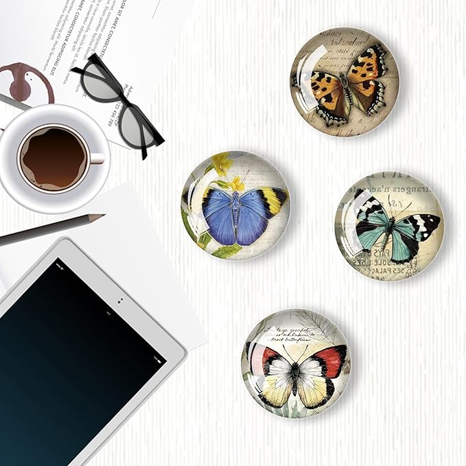 12Pcs Glass Refrigerator Magnet Fridge Sticker,Butterfly Fridge Magnets Decoration for Crafts,Strong Fridge Magnets for Kitchen, School,Office Whiteboard, Cabinet and Dishwasher-DeskLoop Office