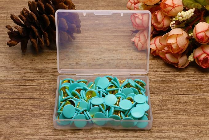 Tupalizy 120PCS Flat Plastic Round Head Map Thumb Tacks Push Pins - Image 4