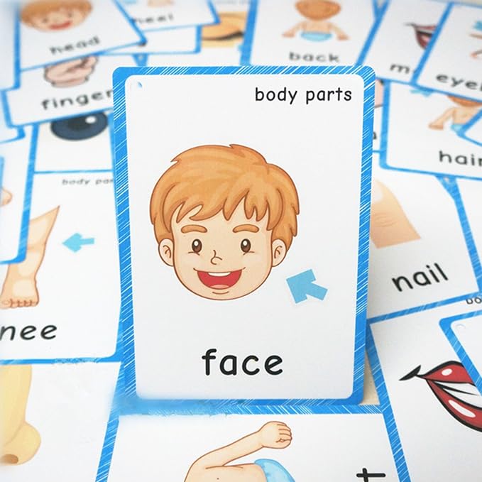 SANTSUN Set of Body Parts Kid Flashcards - Image 5