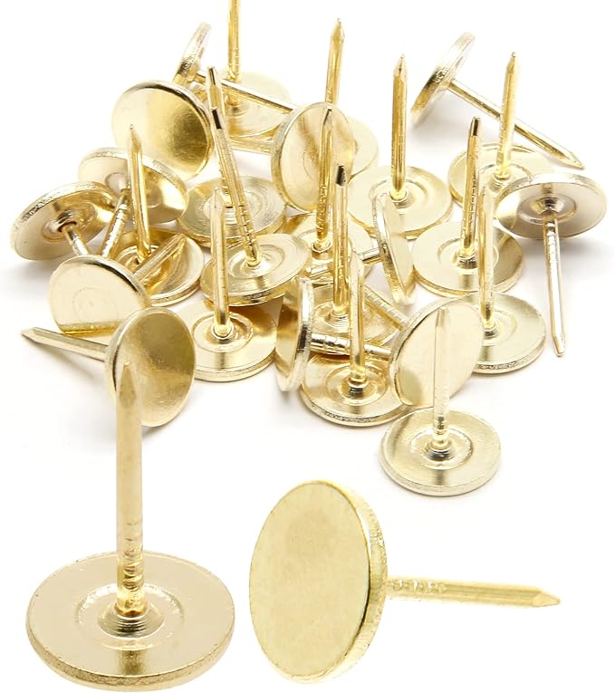 Piutouyar 17mm / 0.67 Inch Flat Head Thumb Tacks, Furniture Decor Pushpin Dia by Piutouyar