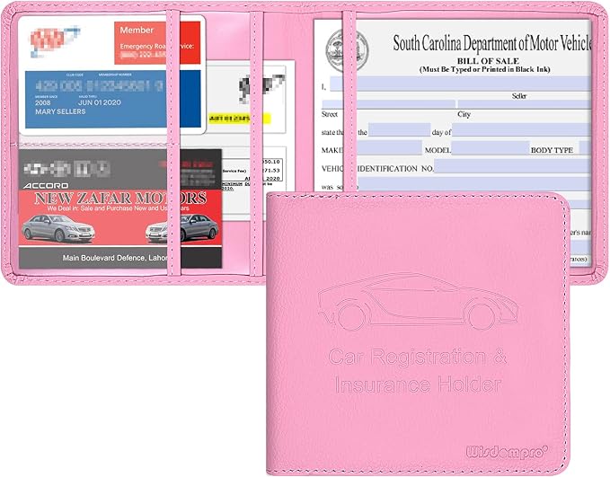 Wisdompro Small Car Registration and Insurance Documents Holder by Wisdompro