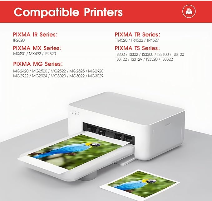 LLAOLLAO Remaunfactured Ink Cartridge Replacement for Canon 245XL 246XL Combo Pack PG-245 CL-246 for Pixma MX490 MX492 TR4520 MG2522 TS3322 TS202 TR4522 MG2920 Printer (1 Black, 1 Color)-DeskLoop Office