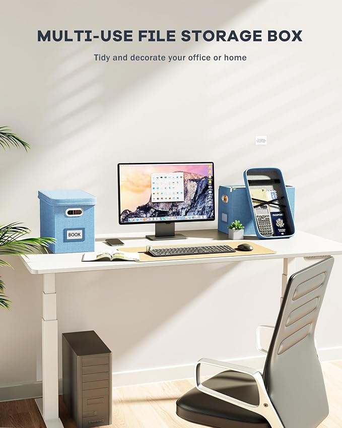 Oterri File Organizer Box with Lid, Hanging Filing File Box with Mesh Pocket, Document Organizer Box for Letter Files, Portable Storage Box with Smooth Sliding Rail for Office&Home (2 PCS, Sky-blue)-DeskLoop Office