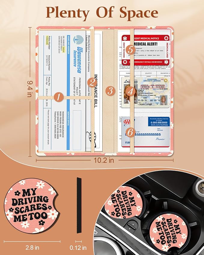 Slohif Car Registration and Insurance Holder - Image 2