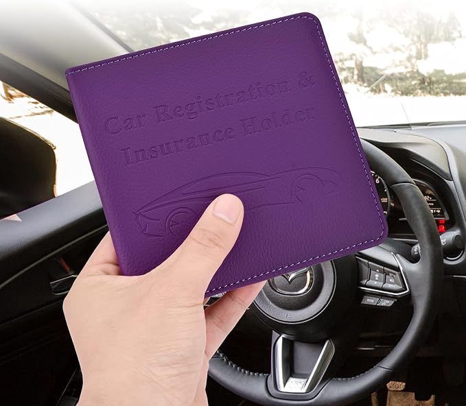 Cacturism Car Registration and Insurance Holder, Vehicle Glove Box Car - Image 8