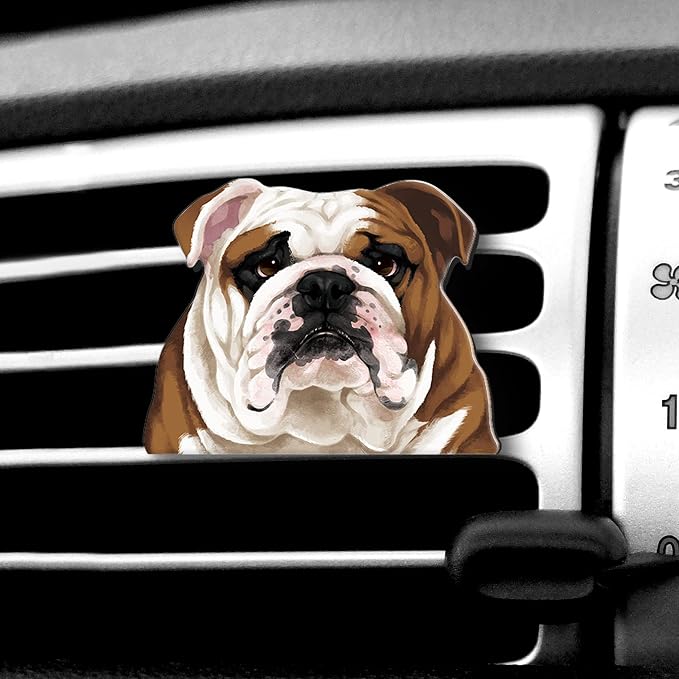 WIRESTER Fresh Scented Car Air Freshener Vent Clip, Decorative Accessories by WIRESTER