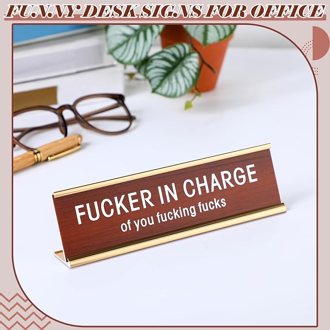 Weysat Funny Desk Signs for Office fun Office Accessories Novelty Nameplate - Image 6