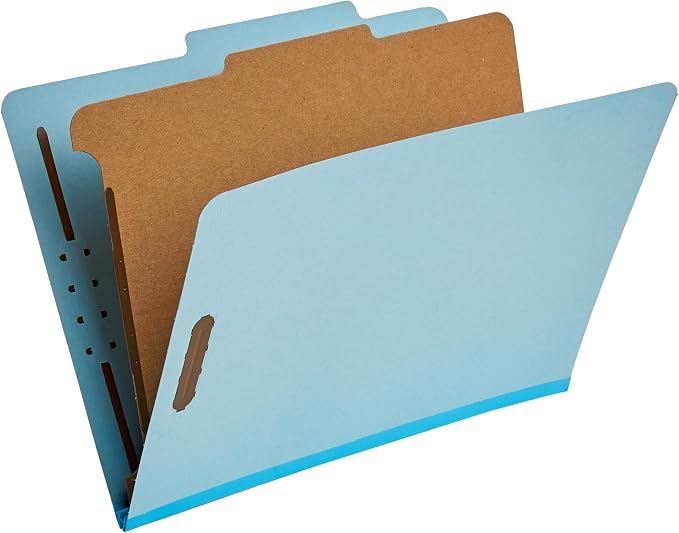 Amazon Basics Classification Folder by AmazonBasics