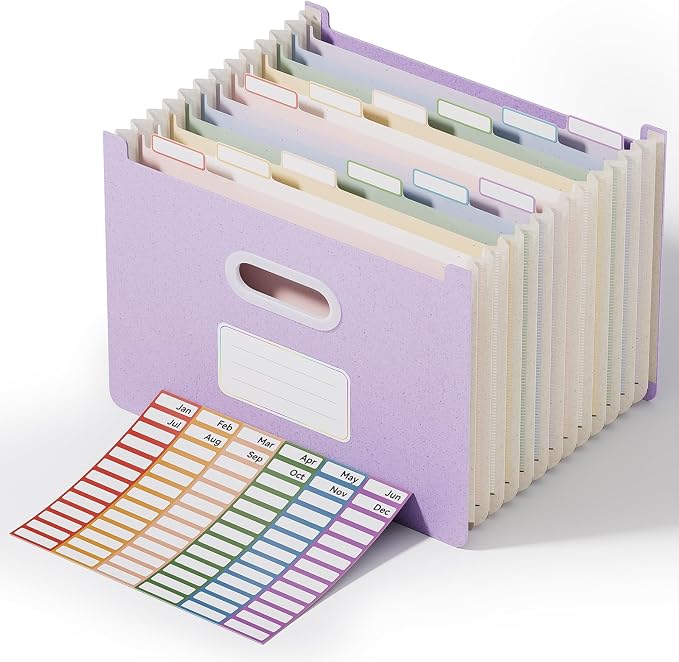 ThinkTex 12-Pocket Accordion File Organizer, Upright Open Top, Monthly Tabs by ThinkTex