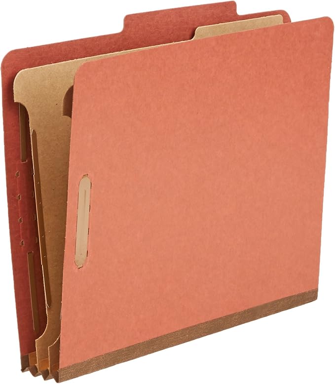 Amazon Basics Classification Folder - Image 5