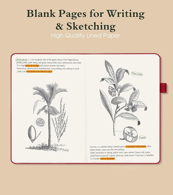 PAIBAS Blank Journal Notebook for Women Men, 160 Pages, A5 Hardcover Sketchbook - Image 3