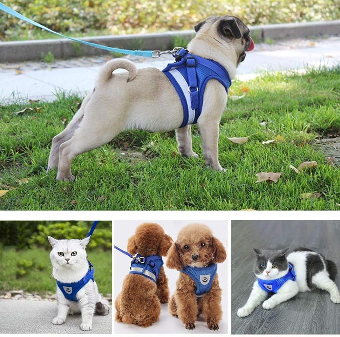 FEimaX Dog Harness and Leash Set - Image 9