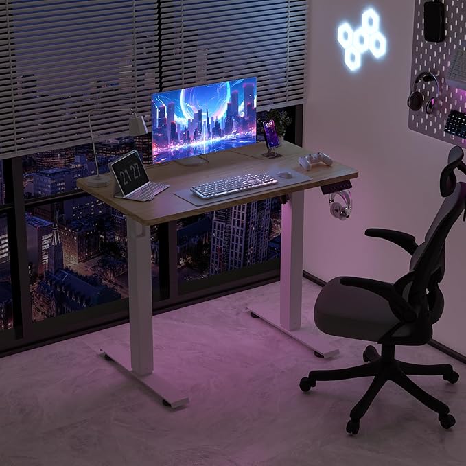 35 * 20 Electric Standing Desk, Adjustable Height Sit Stand Up Desk, Motorized Home Office Computer Gaming Workstation Desk-DeskLoop Office