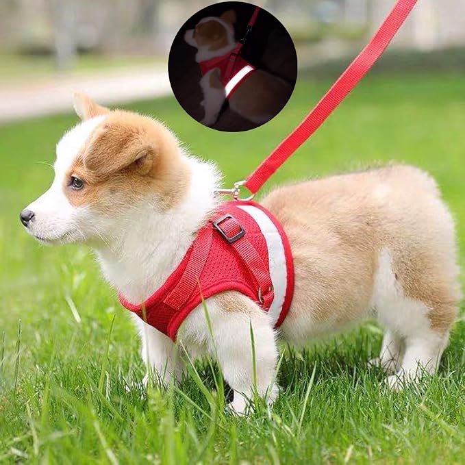 FEimaX Dog Harness and Leash Set - Image 7