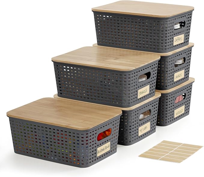 Bagnizer Small Plastic Storage Bins by Bagnizer