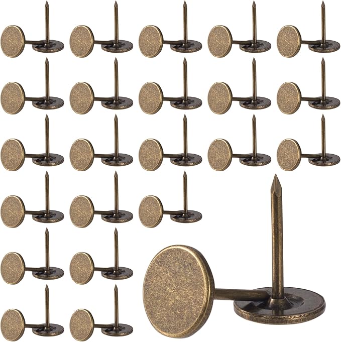 100pcs Metal Thumb Tacks, Heavy Duty Flat Head Push Pins, Upholstery Tacks by Unknown