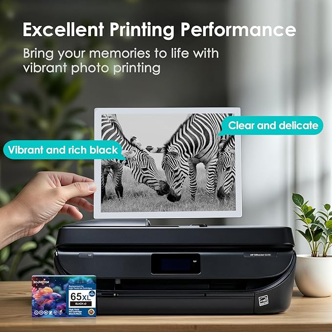 EcoVictor Remanufactured 65XL Ink Cartridges Replacement for HP 65 XL Black Ink Cartridge HP65 HP65XL Compatible Envy 5000 5055 5052 5010 5070 DeskJet 3755 3700 3772 3720 3752 2600 2622 2652 (2 Black)-DeskLoop Office