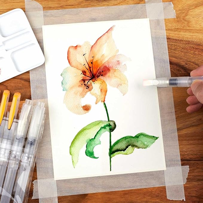 aquapens Water Brush Pens for Painting - 6 Pack - Water Drawing Brush Pens with 6 Different nibs - Portable Watercolor Brush Pens for Artists - Water Brush Pens for Kids and Adults-DeskLoop Office