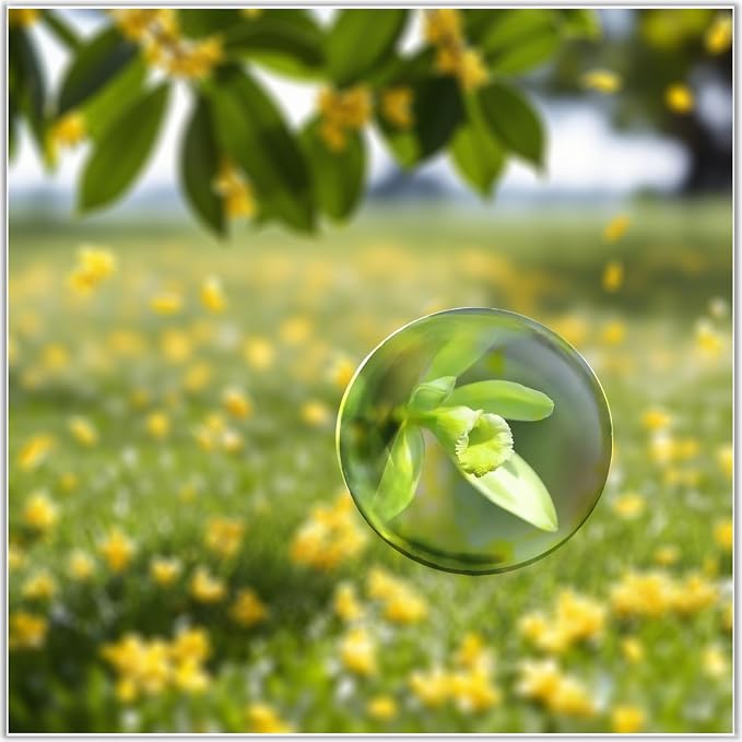 Bluwtoclan 4 Pcs Crystal Magnifying Paper Weights, 1.9 inch Clear Dome Paper - Image 5