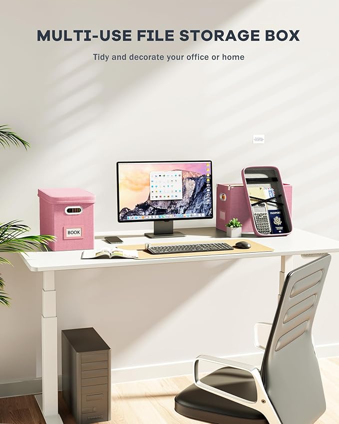 Oterri File Organizer Box with Lid, Hanging Filing File Box with Mesh Pocket, Document Organizer Box for Letter Files, Portable Storage Box with Smooth Sliding Rail for Office&Home (1 PCS, Pink)-DeskLoop Office