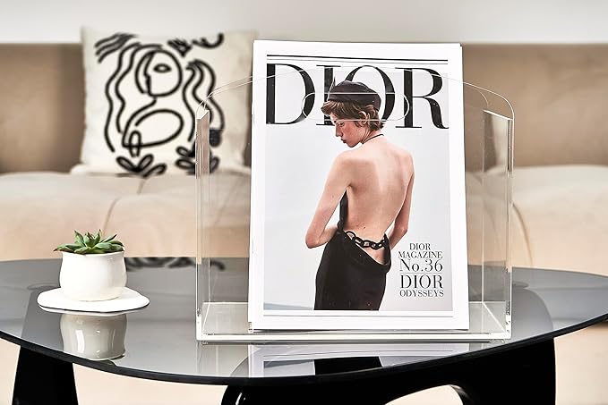 Magazine Rack - Clear Acrylic Magazine Holder, Acrylic Newspaper Stand Organizer with handles, Modern Lucite Magazine and Book Basket Box for Bathroom, Bedroom, Living Room and Office-DeskLoop Office