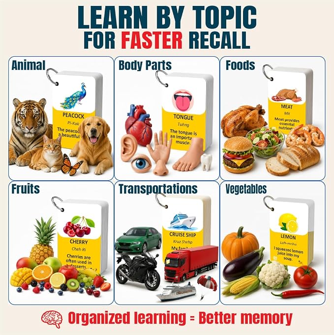300 Bilingual English Spanish Flash Cards - Image 7