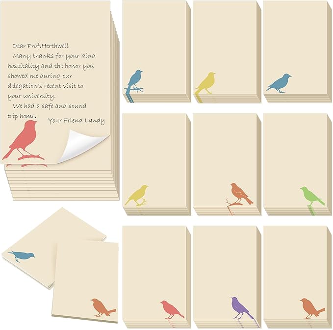 Spiareal 100 Pcs Blank Note Cards Blank Decorative Notecards Index Cards Bulk by Spiareal