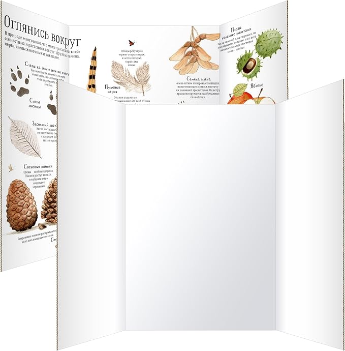 Trifold Poster Board 36"x48", White Extra Large Corrugated Display Board Foldable Board for School Projects, Science Fair, Business Presentations, Photo Displays, Graduation Exhibitions- 2 Pack-DeskLoop Office