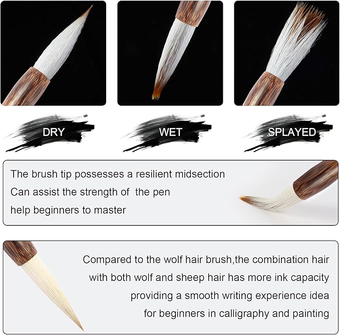 Corciosy 12 Pieces Chinese Calligraphy Brush Set - Premium Painting Writing Watercolor Sumi Brushes Set Kanji Japanese Drawing Art Brushes with Roll-up Brush Holder-DeskLoop Office