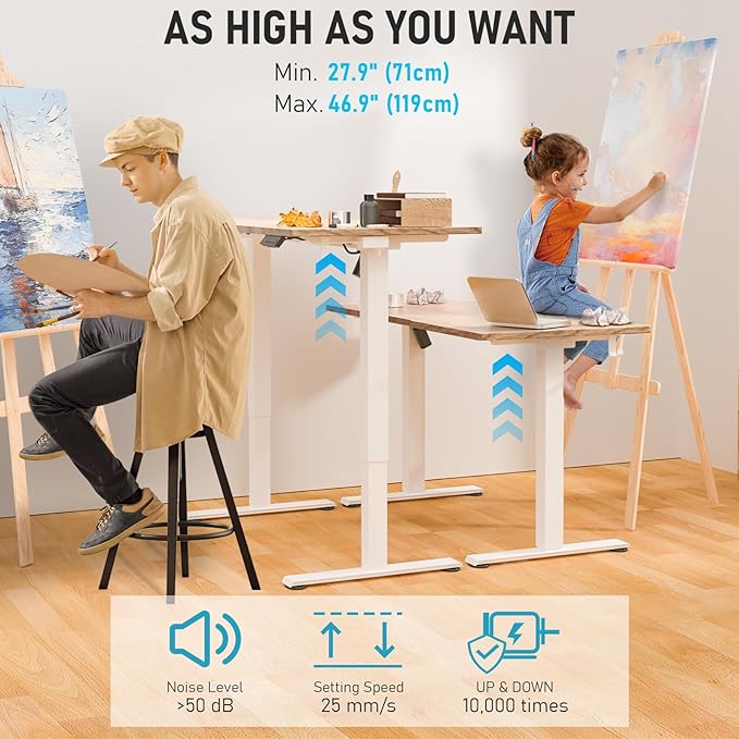 48 * 24 Electric Standing Desk, Adjustable Height Sit Stand Up Desk, Motorized Home Office Computer Gaming Workstation Desk-DeskLoop Office