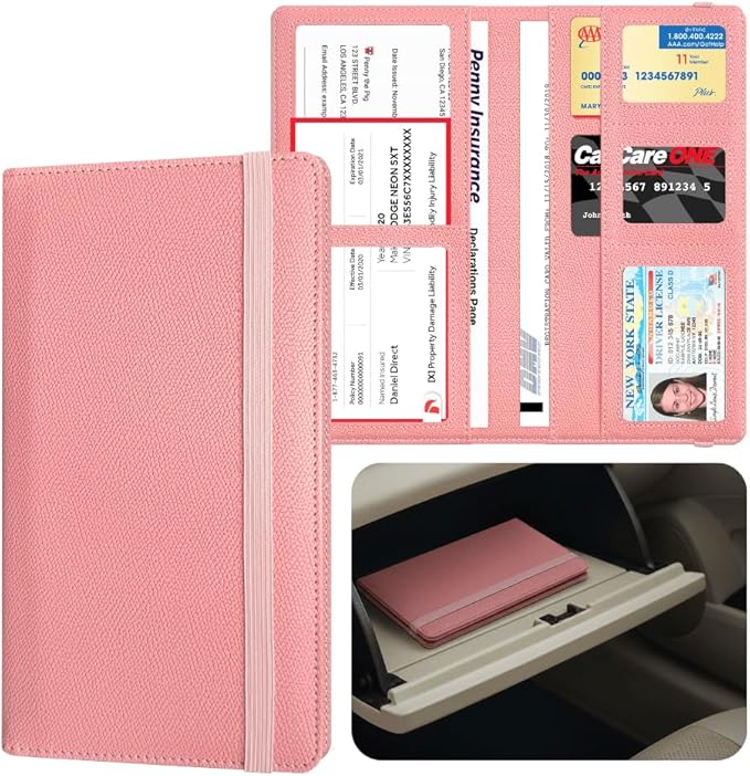 LINTRU 6-Pocket Car Registration & Insurance Card Holder by LINTRU