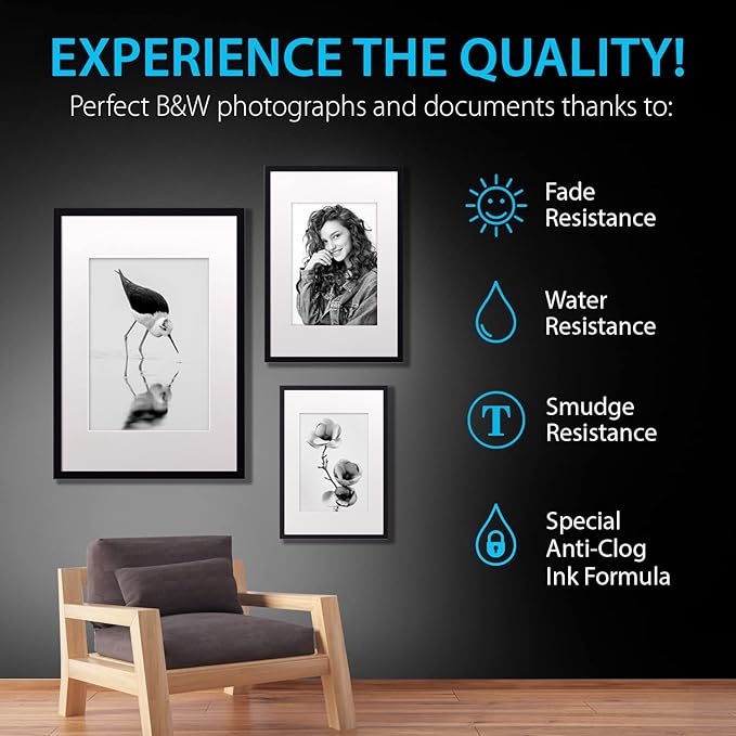 Smart Ink Compatible Ink Cartridges Replacement for HP 952XL HP 952 XL (2 Black Combo Pack) to use with HP Printer OfficeJet Pro 8710 7740 8720 8715 8210 7720 8740 8725 8700 OfficeJet 8702-DeskLoop Office