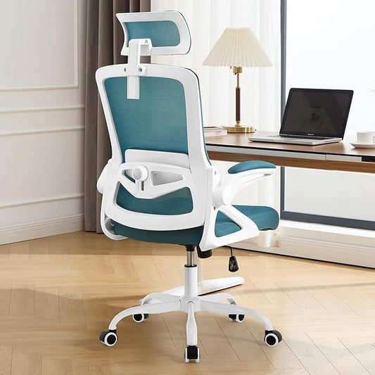 Fizzin Ergonomic Office Chair, 400 LBS Computer Chairs by Unknown
