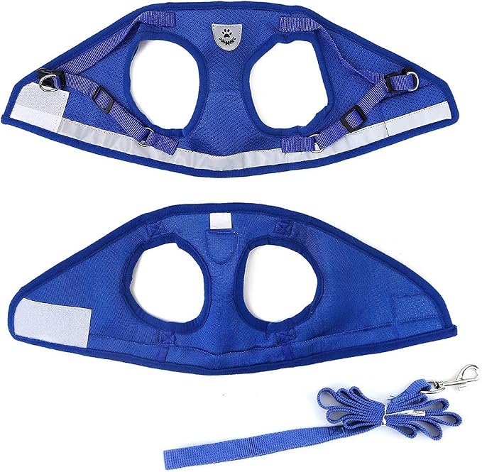 FEimaX Dog Harness and Leash Set - Image 7