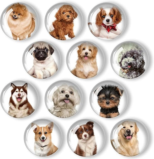 12Pcs Glass Refrigerator Magnet Fridge Sticker,Dog Fridge Magnets Decoration for Crafts,Strong Fridge Magnets for Kitchen, School,Office Whiteboard, Cabinet and Dishwasher-DeskLoop Office