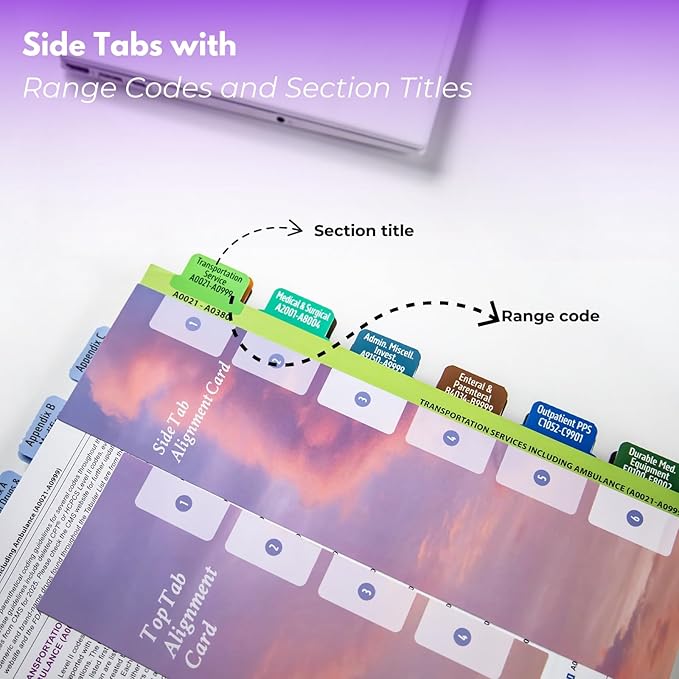Index Tabs for HCPCS Level II Expert 2025 Codebook - Easy Navigation for Medical Coding Books (for AAPC Version)-DeskLoop Office