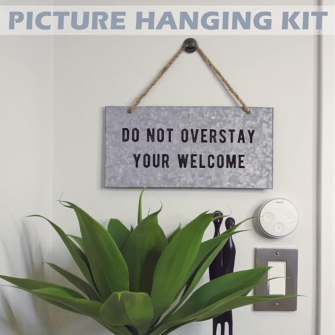 Zhengmy 40 Pcs Double Headed Picture Hangers Nails 4 Size Long Thumb Tacks Wall Nails for Hanging Pictures Decorative Push Pins Hooks for Drywall Photo Office Home Decor, 20/30/ 40/ 50lb(Black)-DeskLoop Office