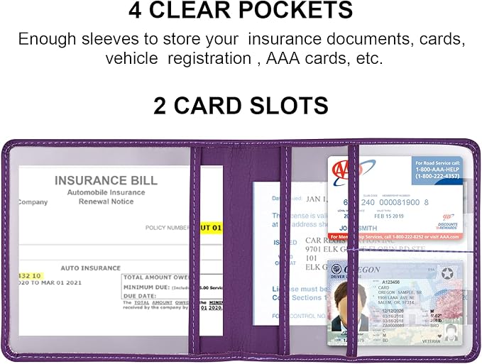 Cacturism Car Registration and Insurance Holder, Vehicle Glove Box Car - Image 2