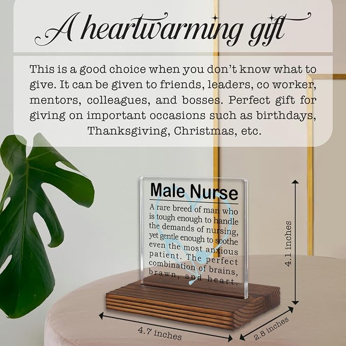 Male Nurse Gifts, Appreciation Desk Sign - Image 4