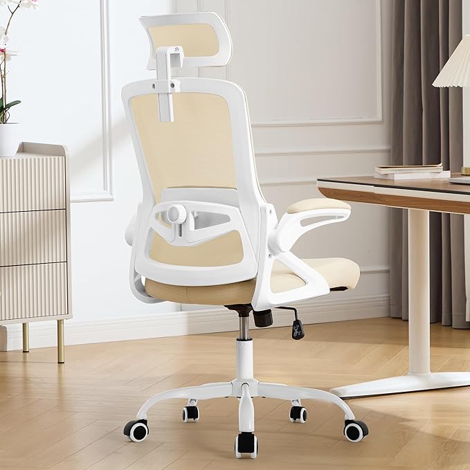 Fizzin Ergonomic Office Chair, 400 LBS Computer Chairs by Unknown