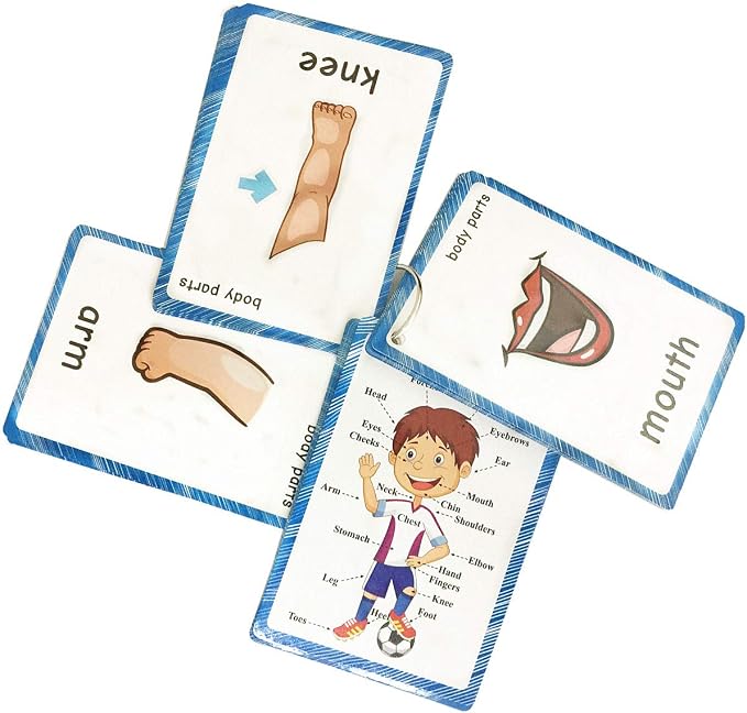 SANTSUN Set of Body Parts Kid Flashcards - Image 3