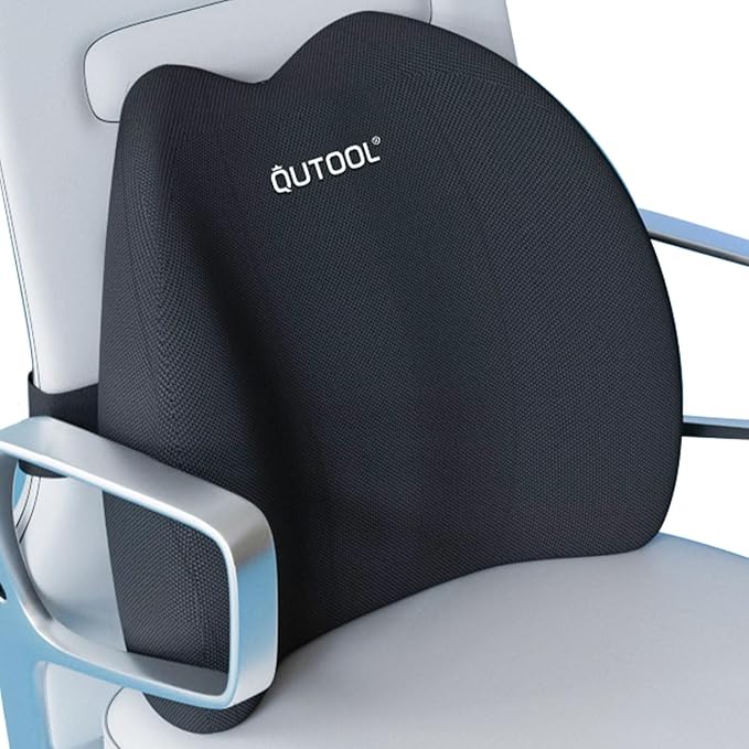 Lumbar Support Pillow for Office Chair, Office Home Essentials, Gifts for Mom by QUTOOL