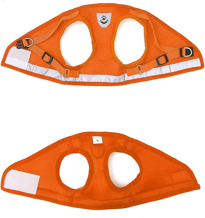 FEimaX Dog Harness and Leash Set - Image 6