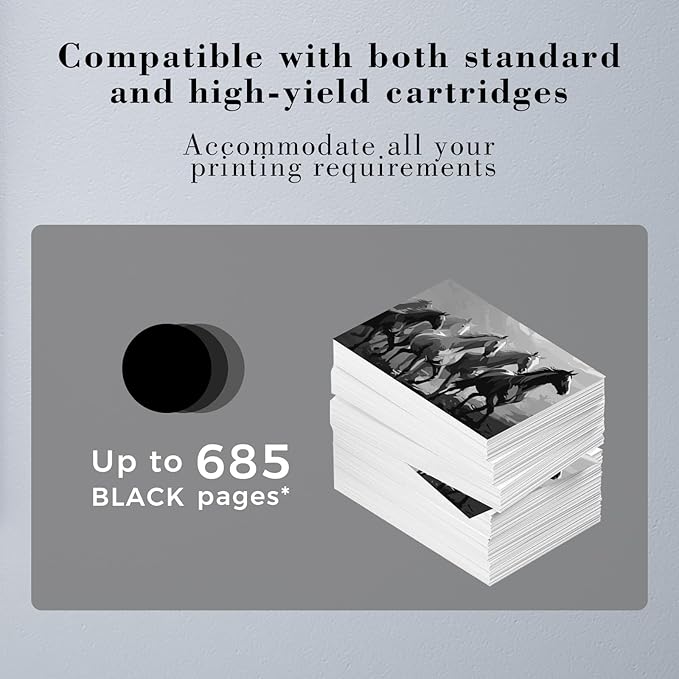 Printer Ink 62 XL 62XL Envy 7645 Black for HP 62 XL Ink Cartridge HP Ink 62 62XL Ink Cartridges Black HP62 HP62BK with Envy 5540 5544 5545 5642 5660 5664 7640 7645, OfficeJet 200 250 258-DeskLoop Office