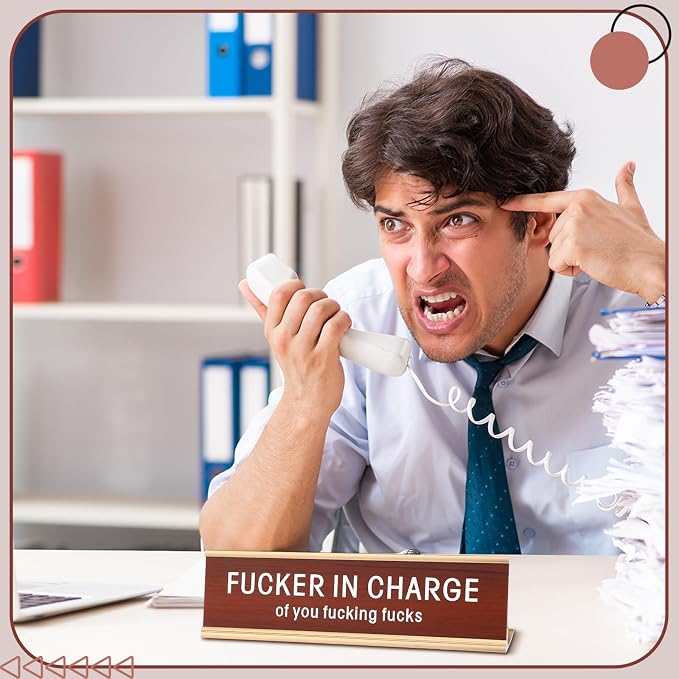 Weysat Funny Desk Signs for Office fun Office Accessories Novelty Nameplate - Image 2