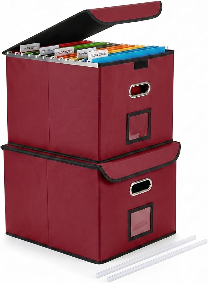 File Organizer Box with Lid, Large Hanging File Folder Organizer with Plastic by CADONO