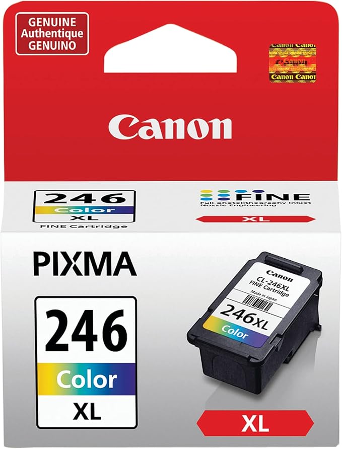 Canon PG-243/ CL-244 Ink Multi Pack, Compatible to TR4520, MX492, MG2520, MG2922, TS302 and TS202 & CL-246 XL Color Ink Cartridge Compatible to Printer iP2820, MG2420, MG2924, MG2920, MX492-DeskLoop Office