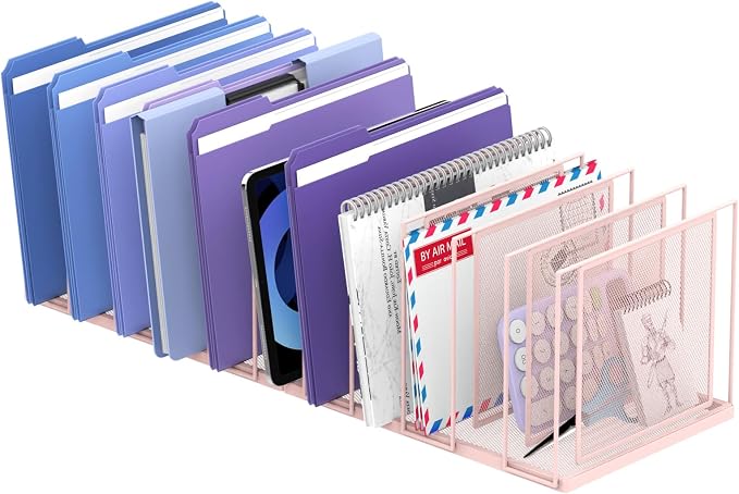 File Organizer for Desk, 11-Section Vertical File Sorter, Paper Holder by JMHUD