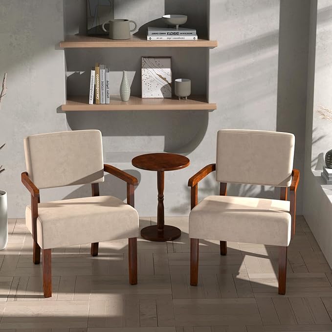 Accent Chair, Cat-Scratch Velvet Living Room Chairs Oversize with Soft Seat and Armrests for Dinning Room Bedroom Reading Room Waiting Room-DeskLoop Office